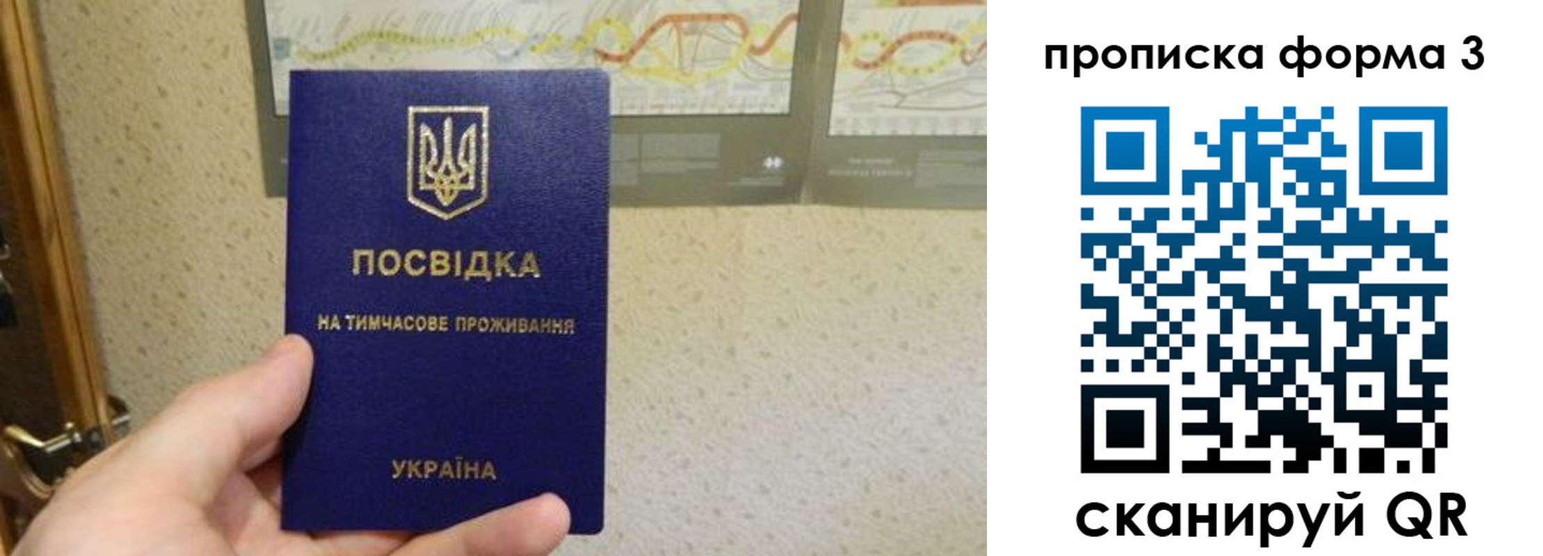 прописка иностранных граждан в Коврове